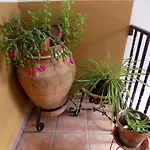 Casa Ferras Valderrobres