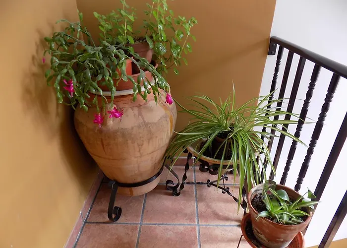 Casa Ferras Valderrobres